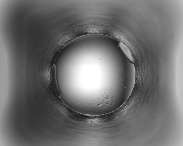 X0000096480309200801241450