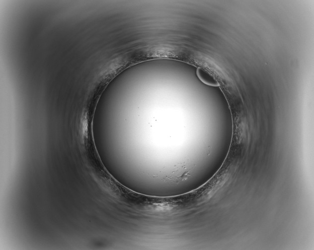 X0000096480310200801241450