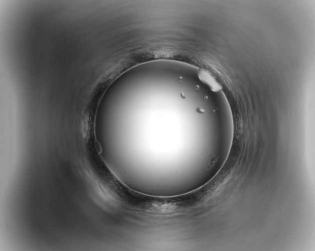 X0000096480311200801241450