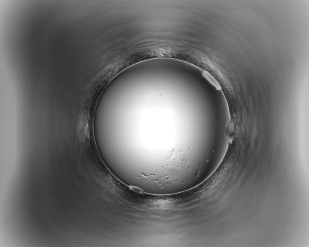 X0000096480313200801241449