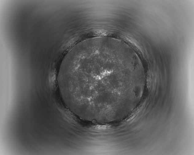 X0000096480314200801241449