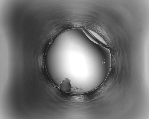 X0000096480317200801241449