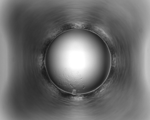 X0000096480318200801241449