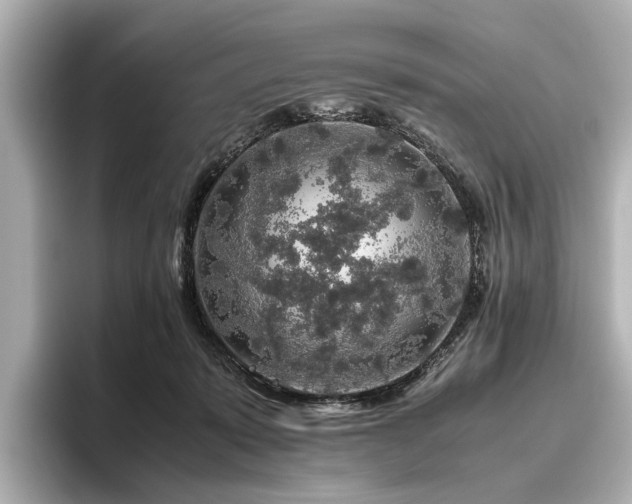 X0000096480319200801241449