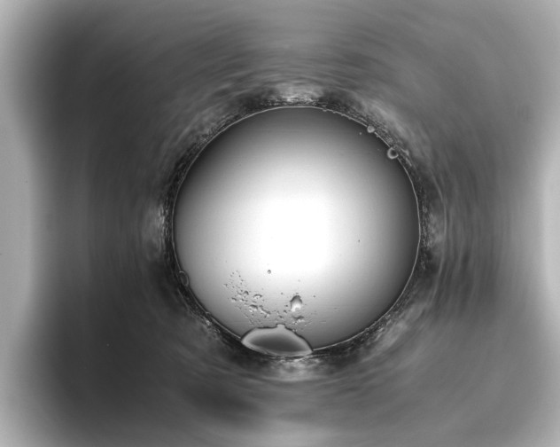 X0000096480321200801241449