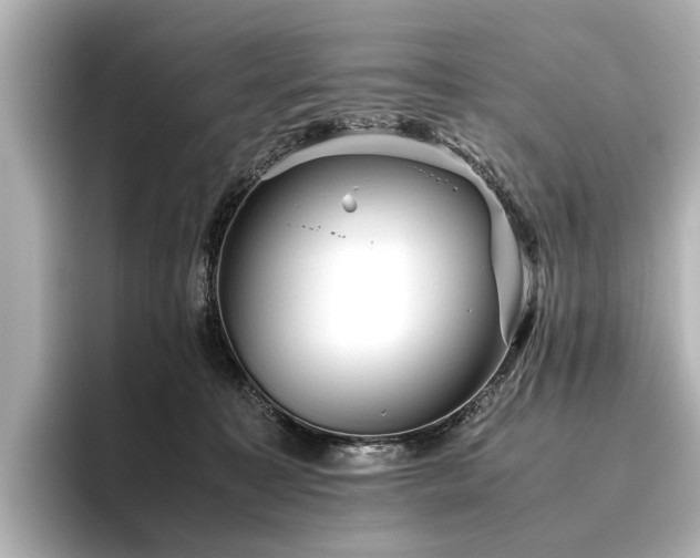 X0000096480323200801241449