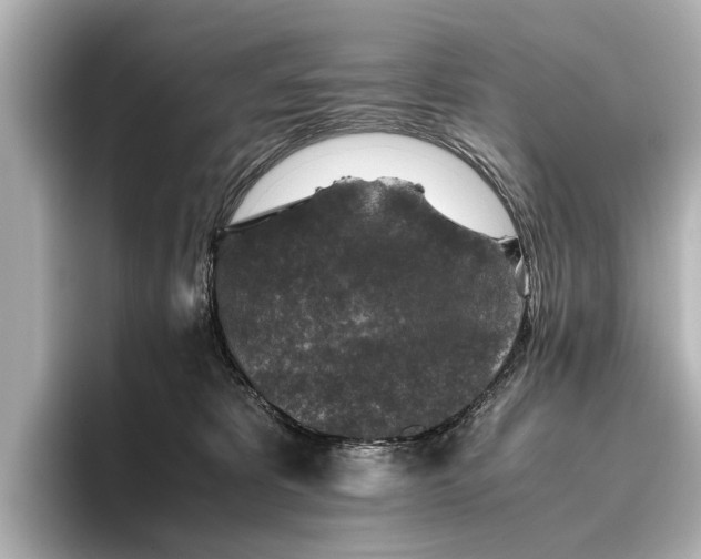 X0000096480325200801241449