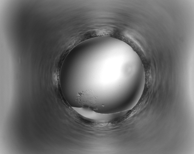 X0000096480329200801241449