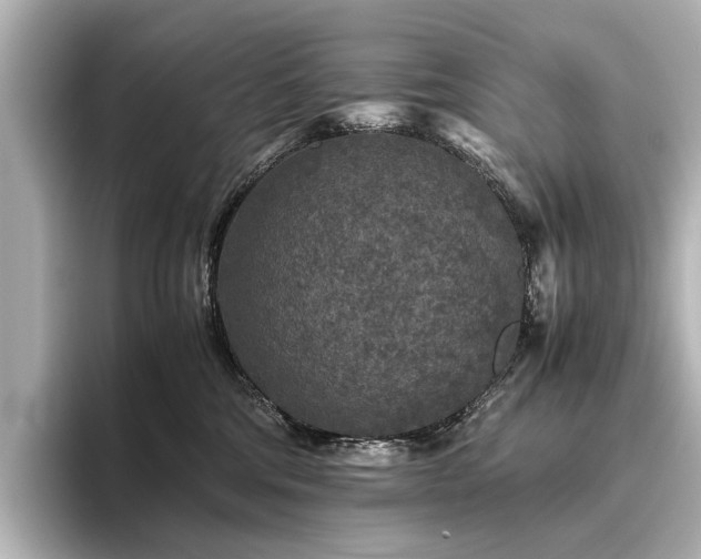 X0000096480330200801241449