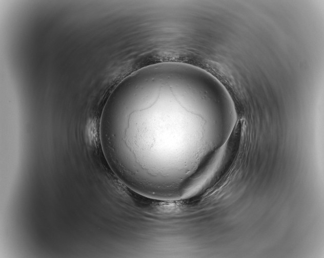 X0000096480335200801241449