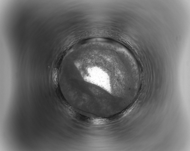 X0000096480336200801241449