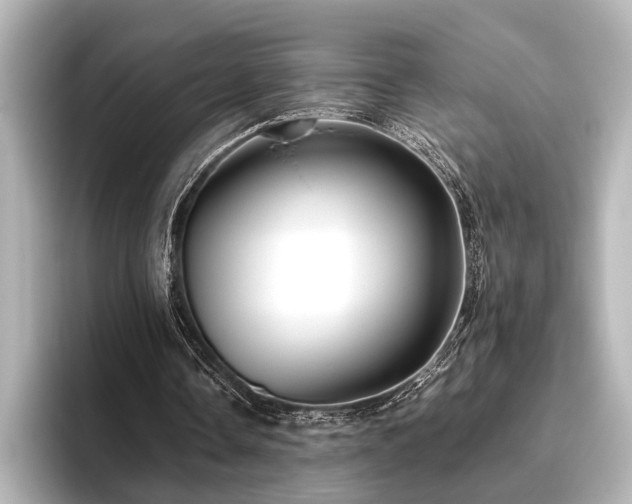 X0000096480338200801241449