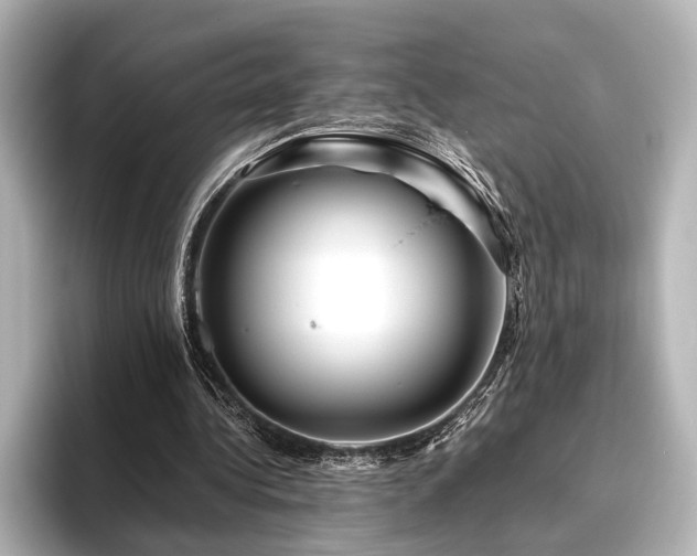 X0000096480340200801241449