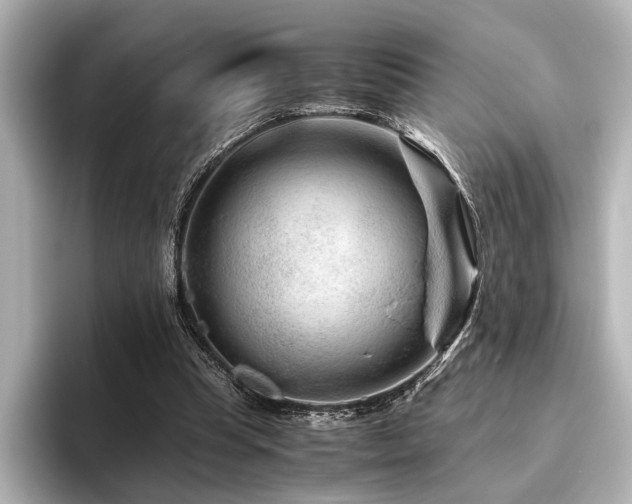 X0000096480345200801241449