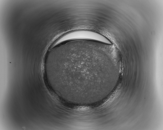 X0000096480348200801241449