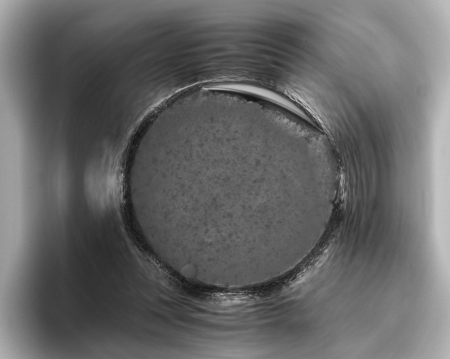 X0000096480351200801241449