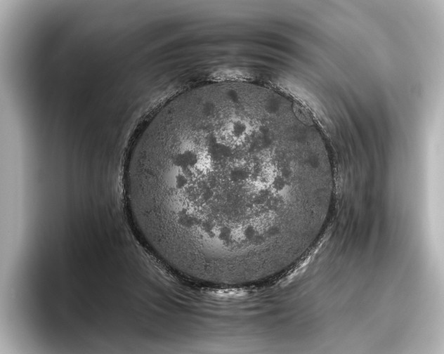 X0000096480353200801241449