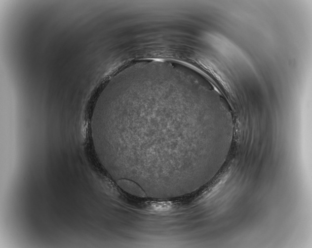 X0000096480355200801241449