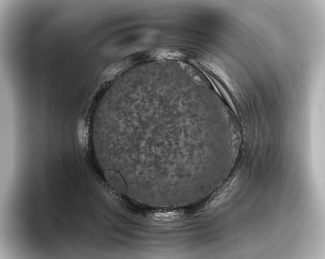 X0000096480357200801241449