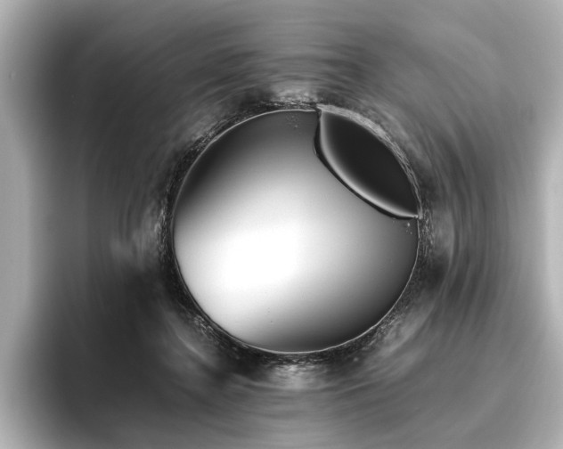 X0000096480364200801241449