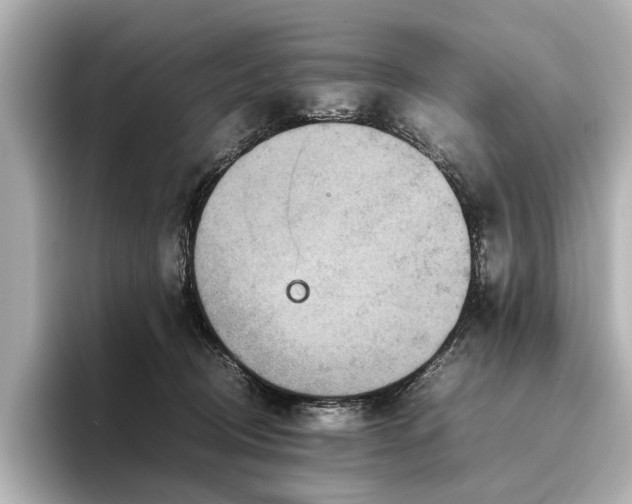 X0000096480370200801241449