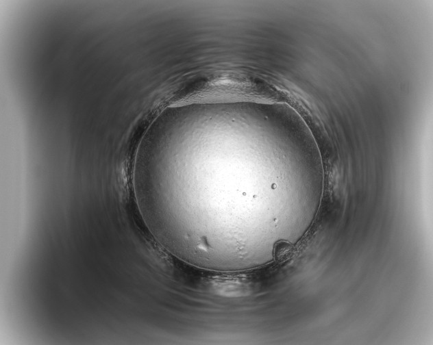 X0000096480373200801241449