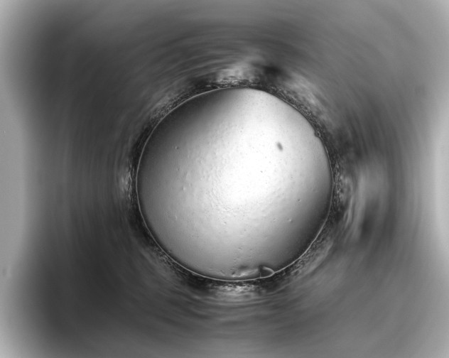 X0000096480375200801241449