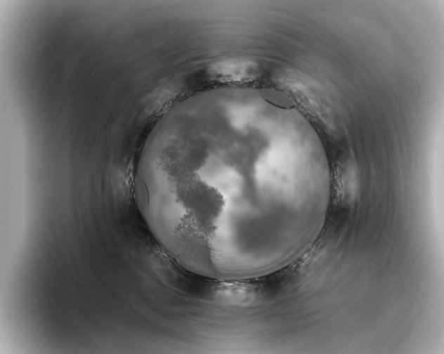 X0000096480376200801241449