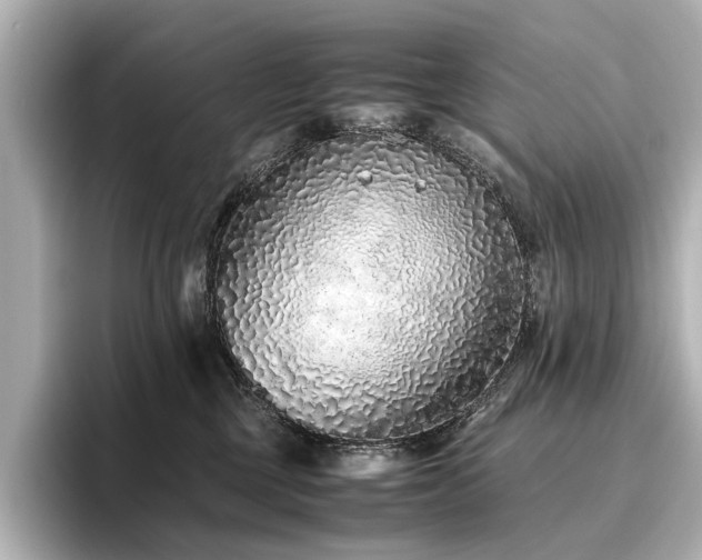 X0000096480377200801241449