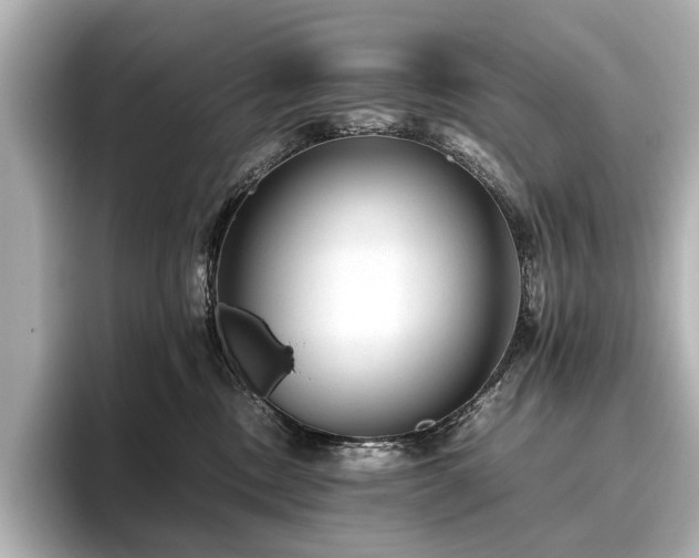 X0000096480378200801241449