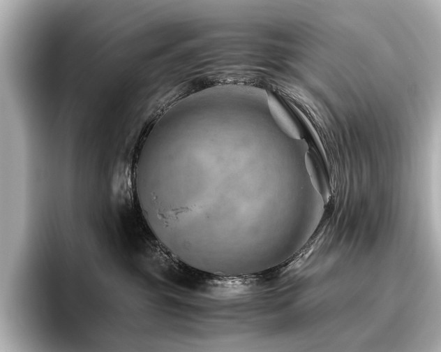 X0000096480381200801241449