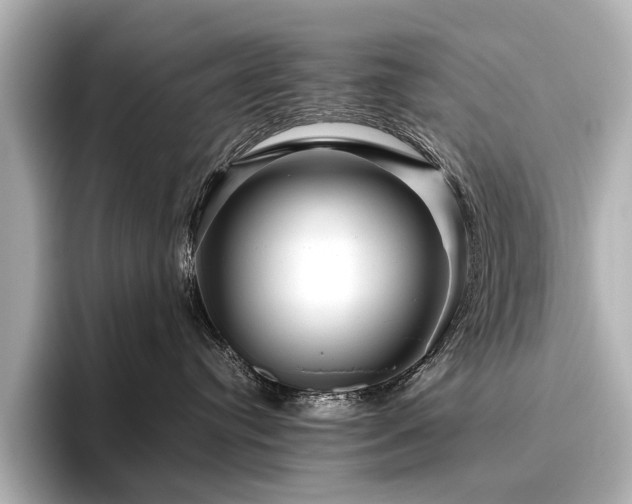 X0000096480384200801241449