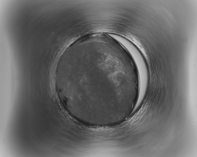 X0000096480385200801241449