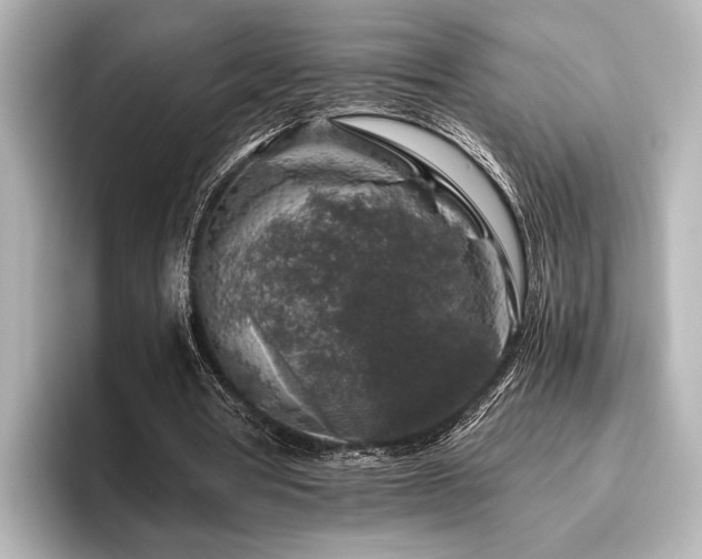 X0000096480386200801241449