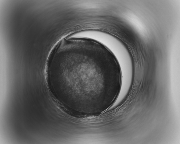 X0000096480387200801241449