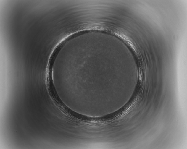 X0000096480388200801241449