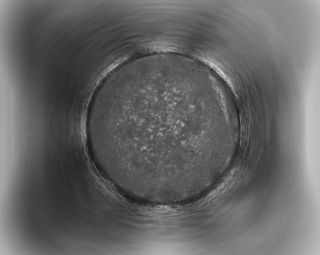 X0000096480390200801241448