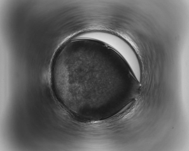 X0000096480391200801241448