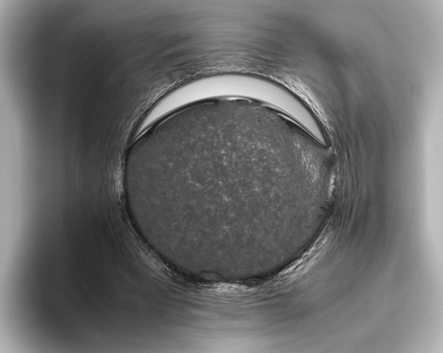 X0000096480393200801241448