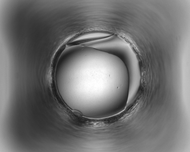 X0000096480395200801241448