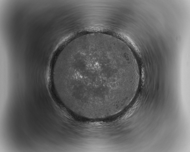 X0000096480396200801241448