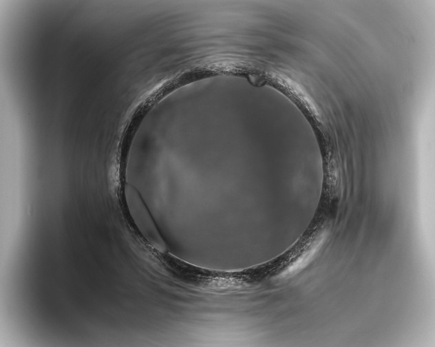 X0000096480399200801241448