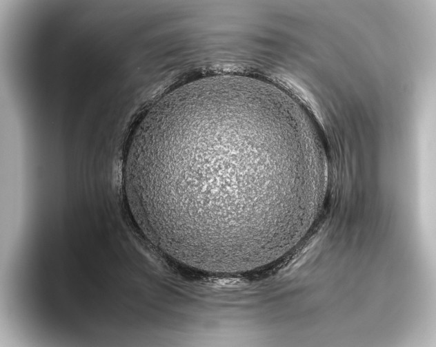 X0000096480401200801241448