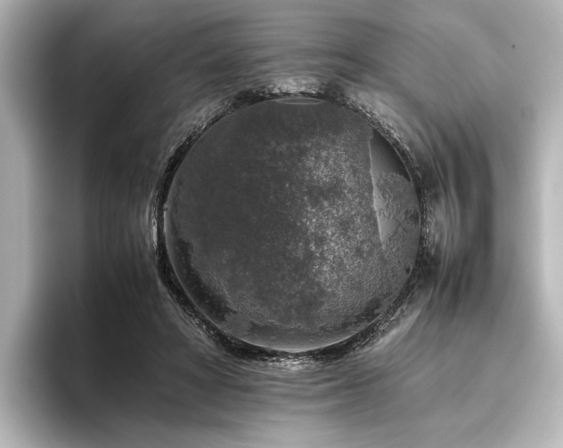 X0000096480402200801241448