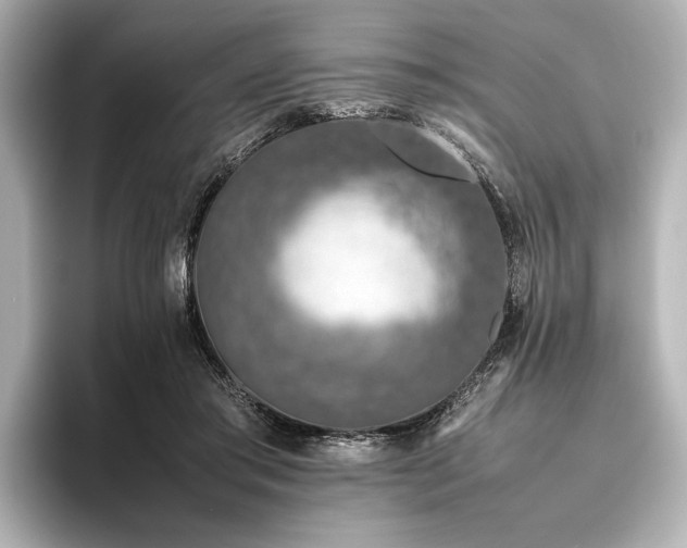 X0000096480405200801241448