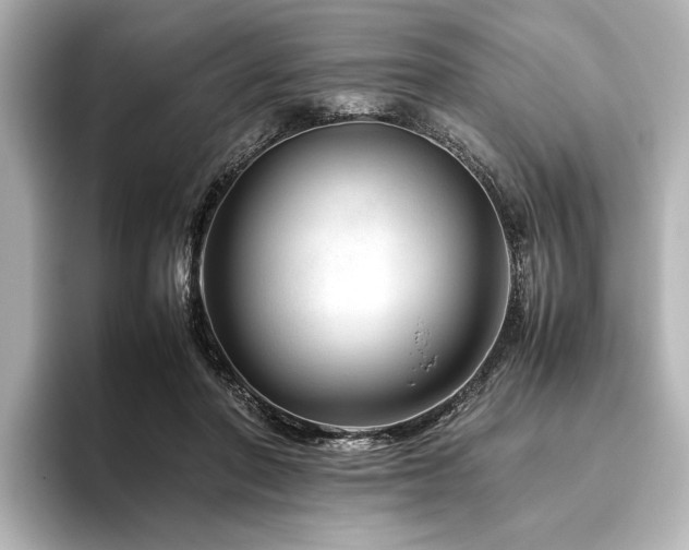 X0000096480406200801241448