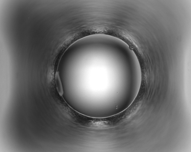 X0000096480407200801241448