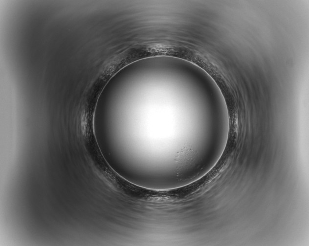 X0000096480408200801241448