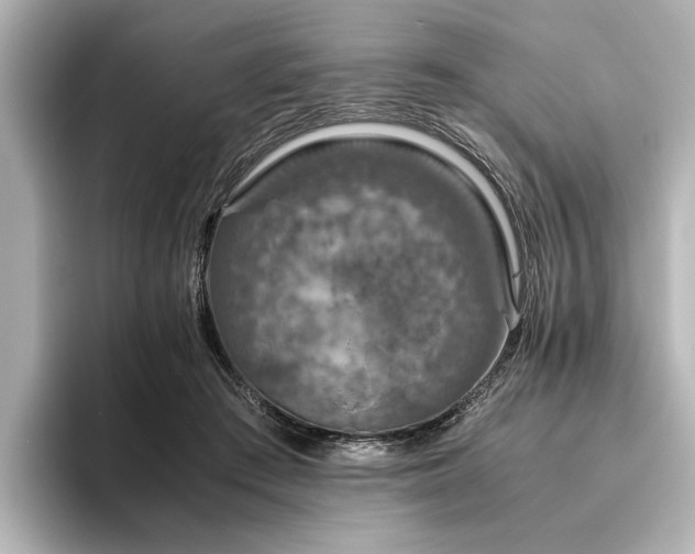 X0000096480409200801241448