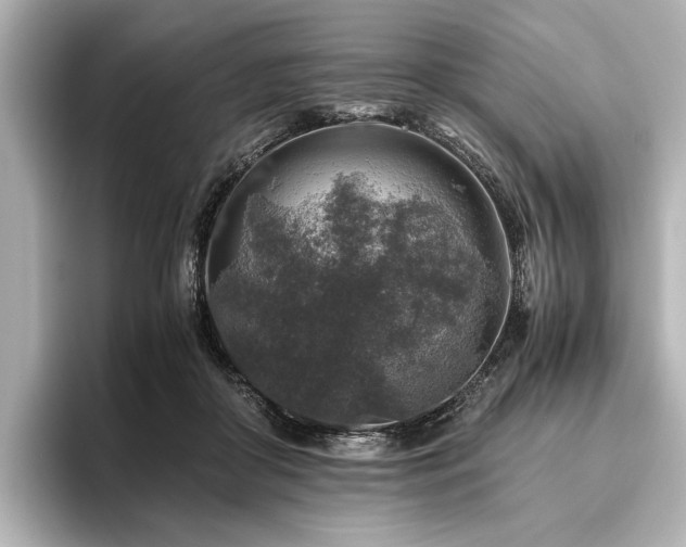 X0000096480410200801241448